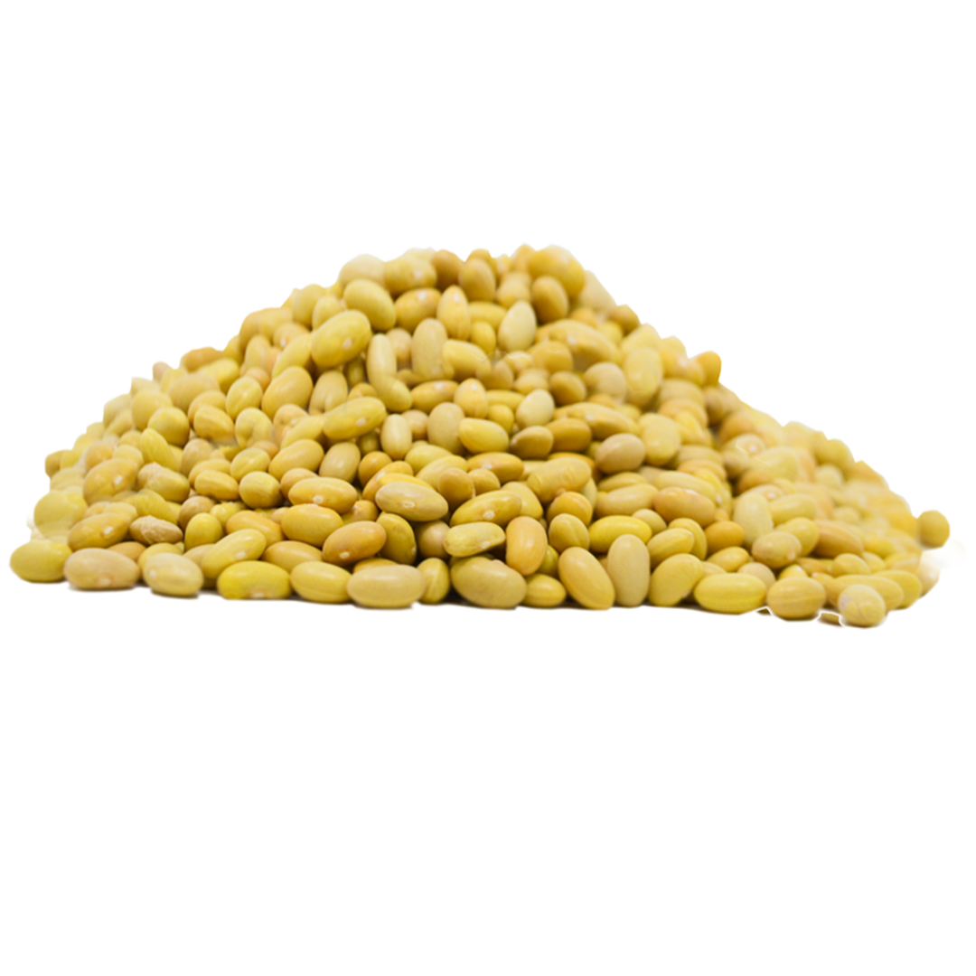 Feijão manteiga. Nacional        